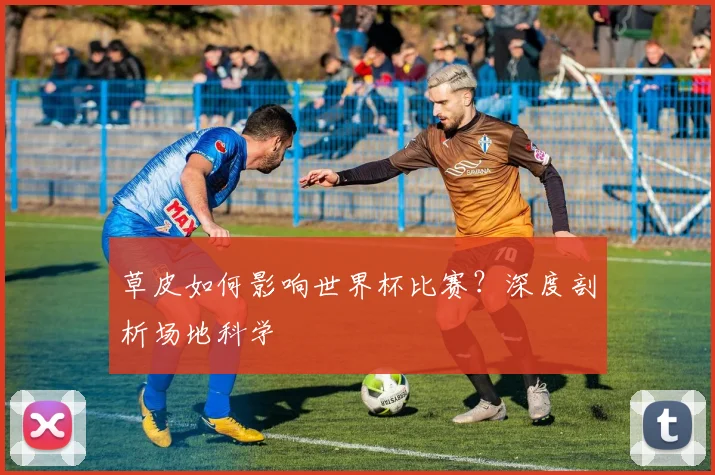 草皮如何影响世界杯比赛？深度剖析场地科学