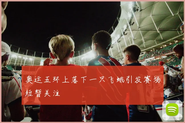 奥运五环上落下一只飞蛾引发赛场短暂关注
